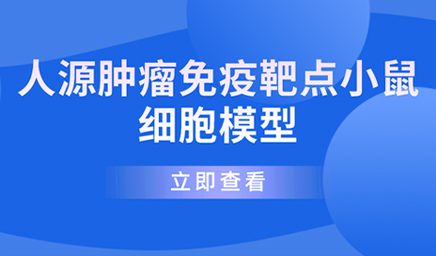 人源腫瘤免疫靶點(diǎn)小鼠細胞模型 人源腫瘤免疫靶點(diǎn)小鼠細胞模型—科佰生物