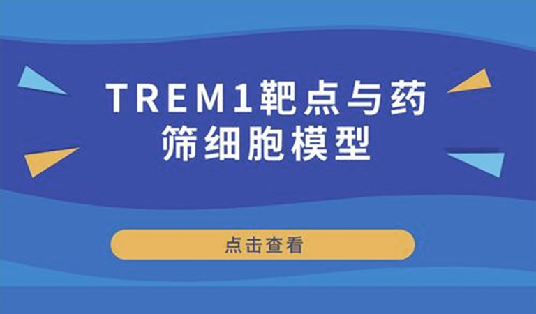 先驅還是先烈-TREM1靶點(diǎn)與藥篩細胞模型 先驅還是先烈-TREM1靶點(diǎn)與藥篩細胞模型