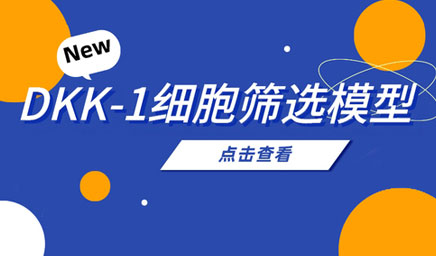 DKK-1細胞篩選模型 DKK-1細胞篩選模型